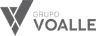 Grupo Voalle